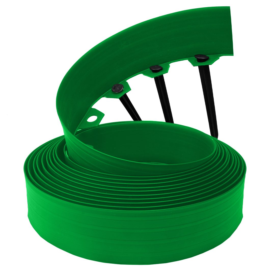 Zielony